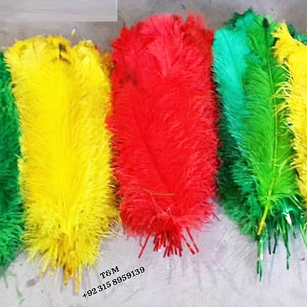 Multicolor Wings