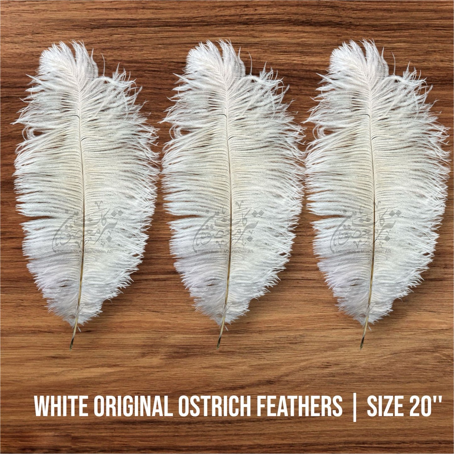 Orignal Ostrich Feathers | Color White 2pcs  
