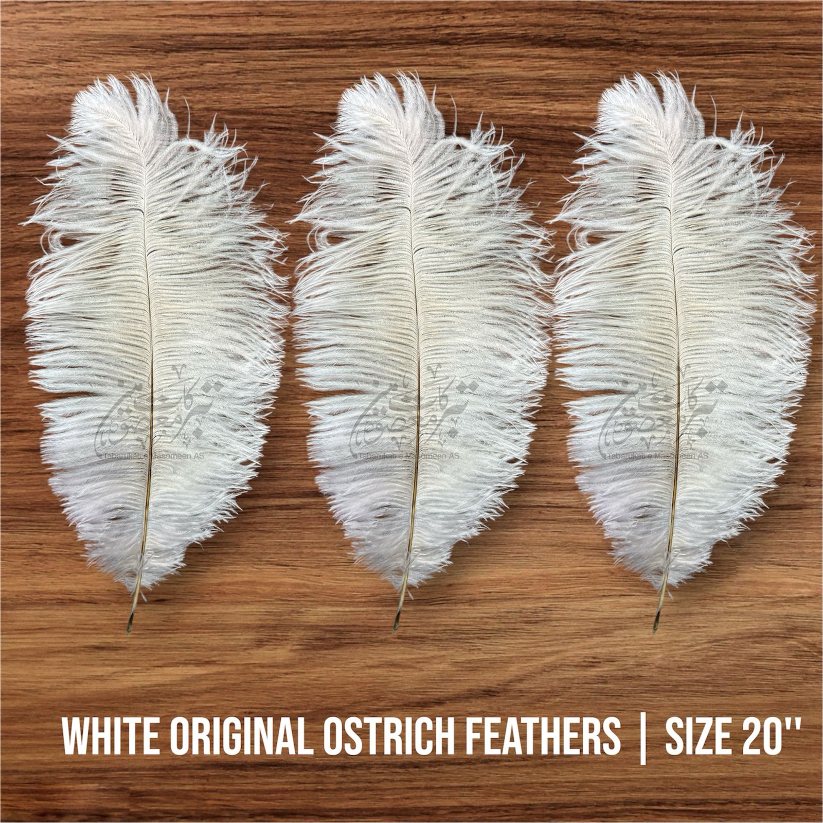 Orignal Ostrich Feathers | Color White 2pcs  