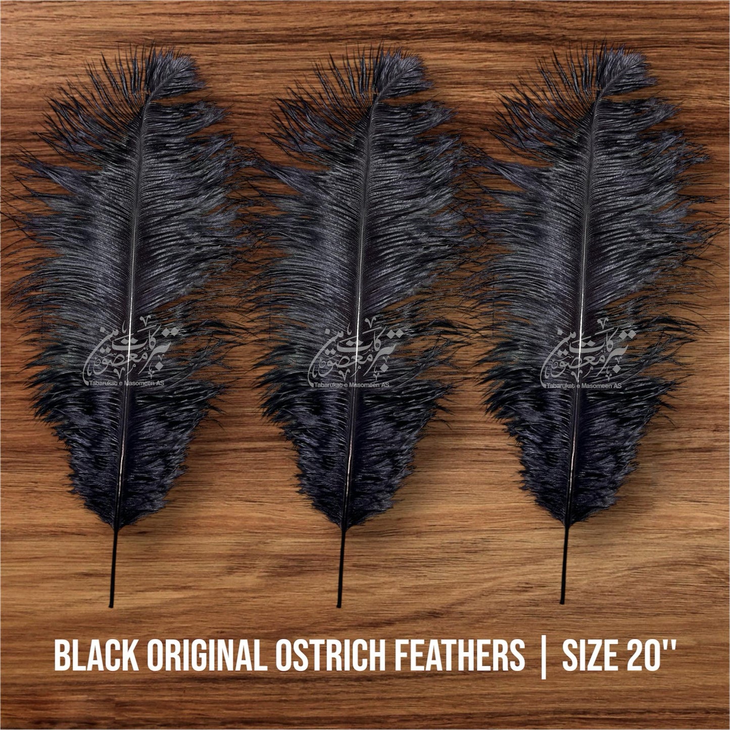 Orignal Ostrich Feathers | Color Black 2 Pcs 