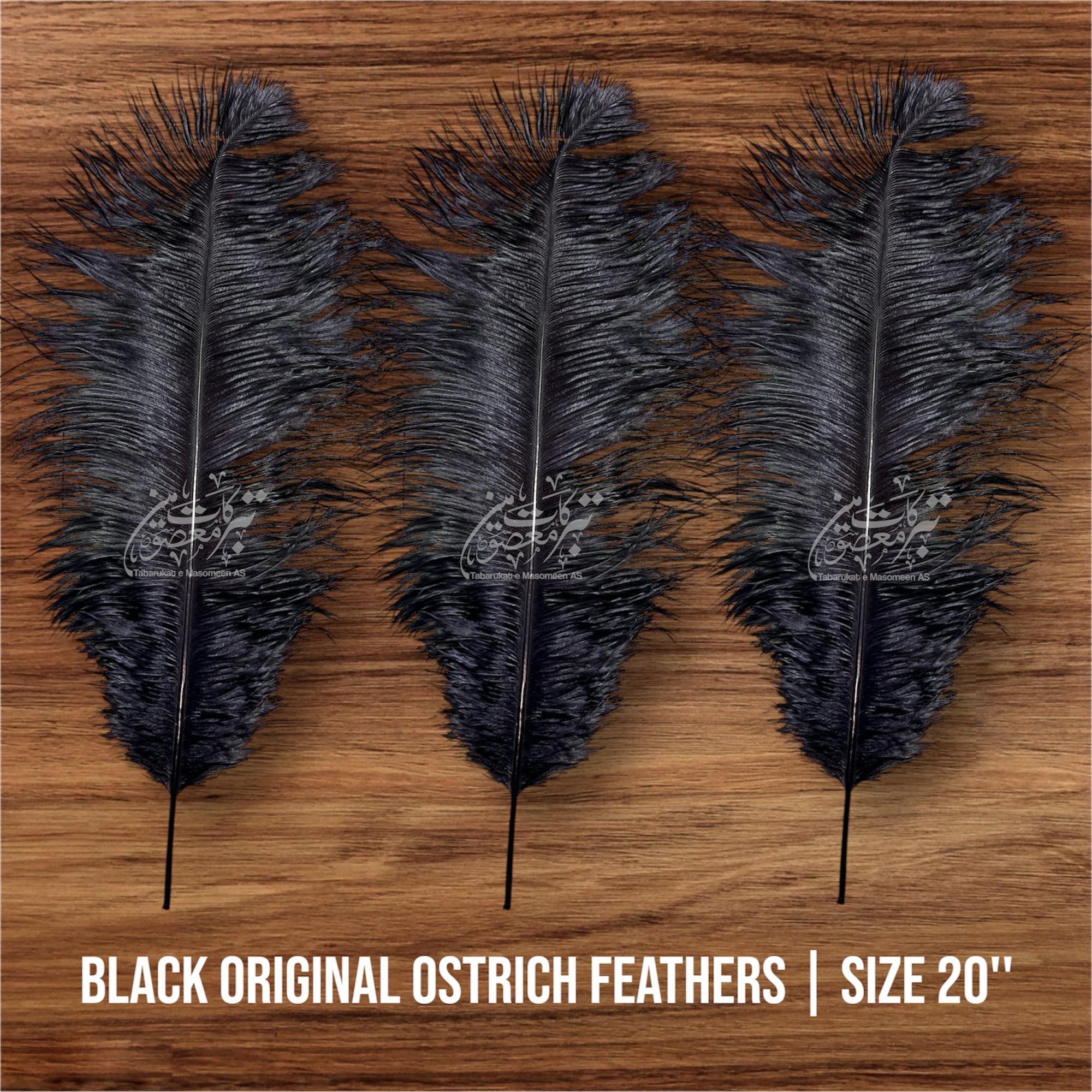 Orignal Ostrich Feathers | Color Black 2 Pcs 