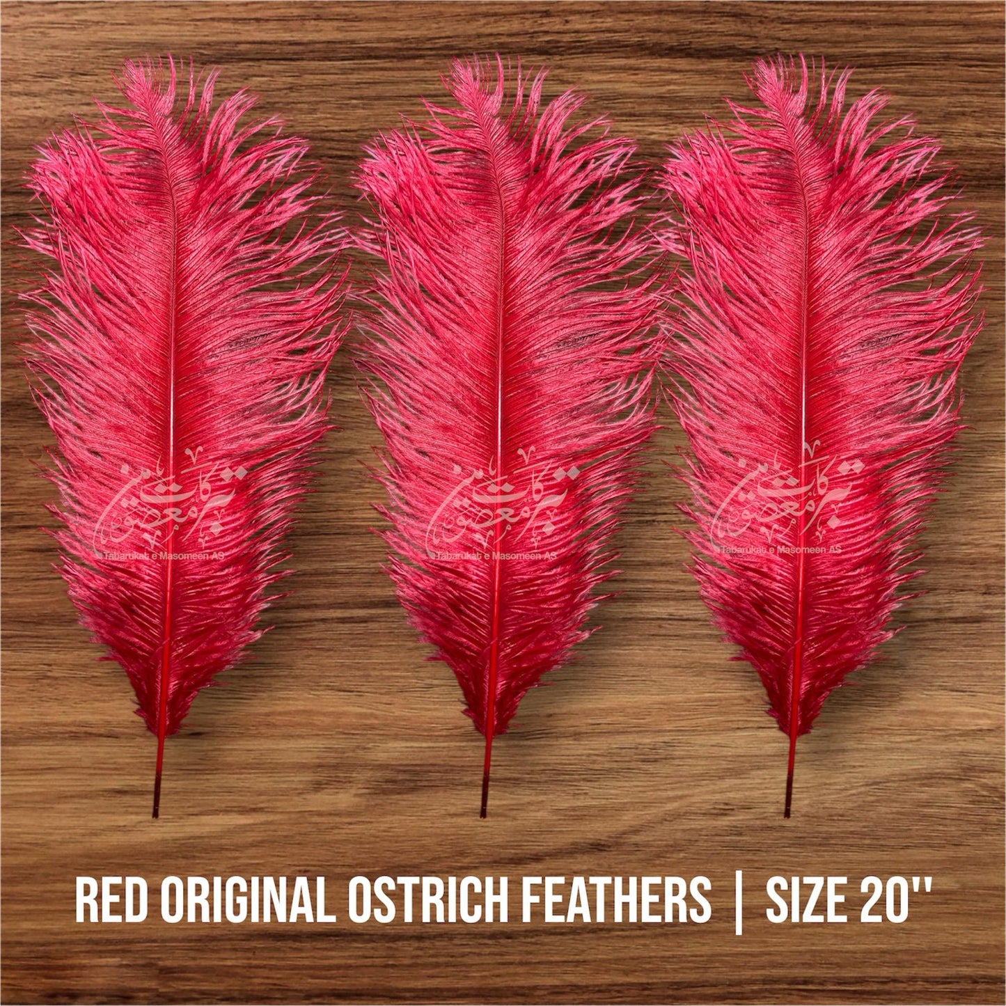 Orignal Ostrich Feathers | Colour Red 2 Pcs