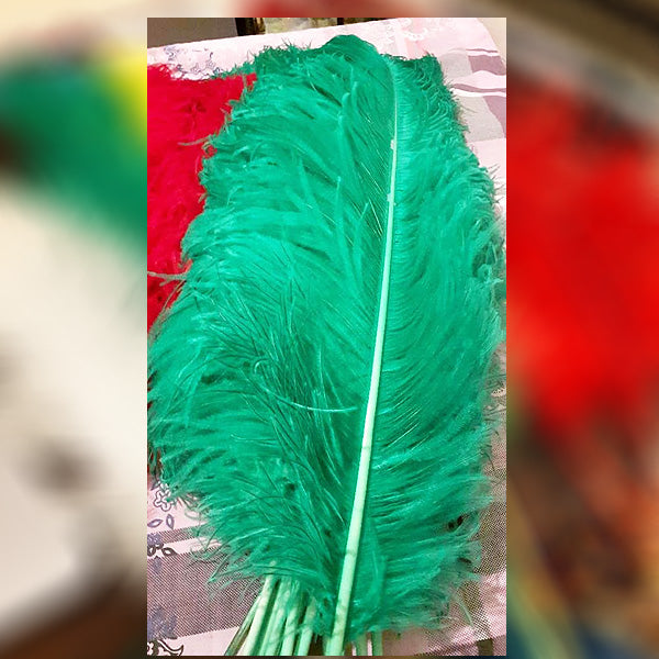 Green Shirtar Murgh Wing