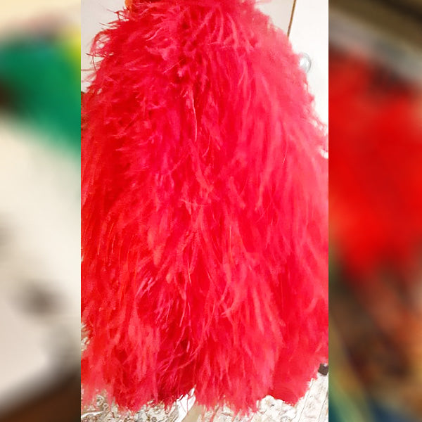 Red Shirtar Murgh Wing