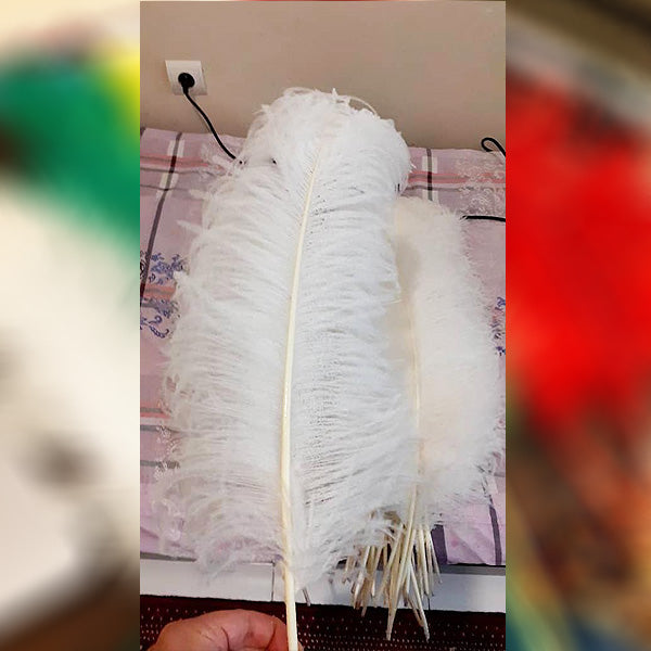 White Shirtar Murgh Wing